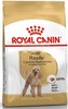 רויאל קנין פודל בוגר 3 ק''ג Poodle Adult