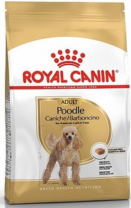 רויאל קנין פודל בוגר 3 ק''ג Poodle Adult