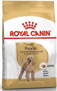 רויאל קנין פודל בוגר 7.5 ק''ג Poodle Adult