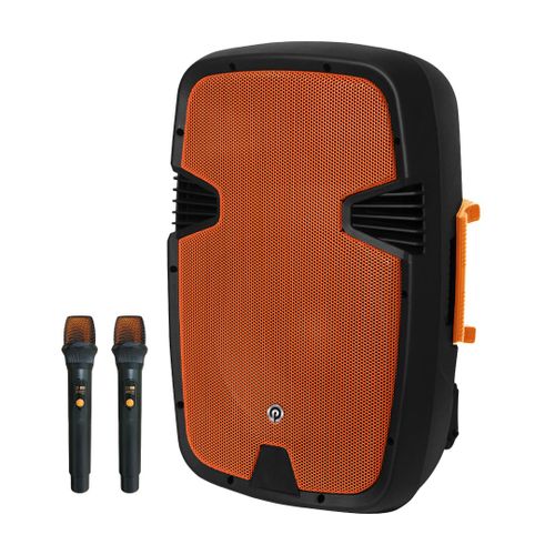 בידורית 12 אינץ 2 מיקרופונים דגם PMW-4412 מבית Pure Acoustics