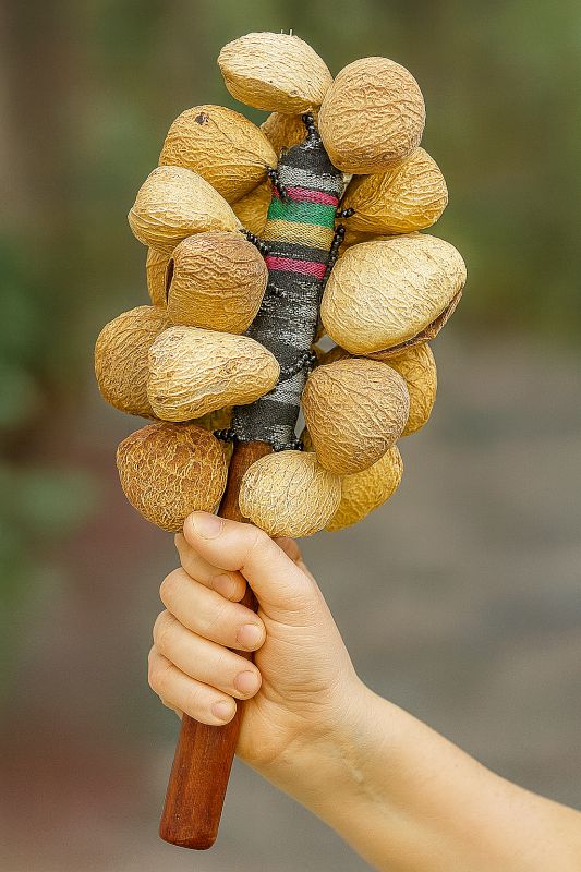 שייקר מקליפות פרי קפאינג  - כלי נגינה אתניים M2005