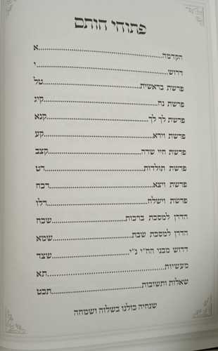 בית אבי