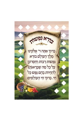 ברכת בורא נפשות