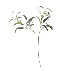 ענף אקליפטוס מלאכותי Eucalyptus - ירוק 