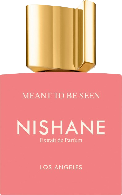 Nishane Meant To Be Seen 100ML Extrait De Parfum נישאנה מנט טו בי סין יוניסקס