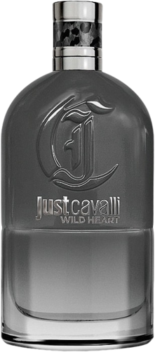 Roberto Cavalli Just Cavalli Wild Heart 90ML EDT רוברטו קוואלי ג'סט קוואלי ווילד הארט לגבר