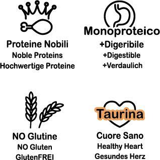 Winner Plus Chicken Holistic לחתולים בוגרים – מזון Super Premium Grain Free | 2 ק״ג
