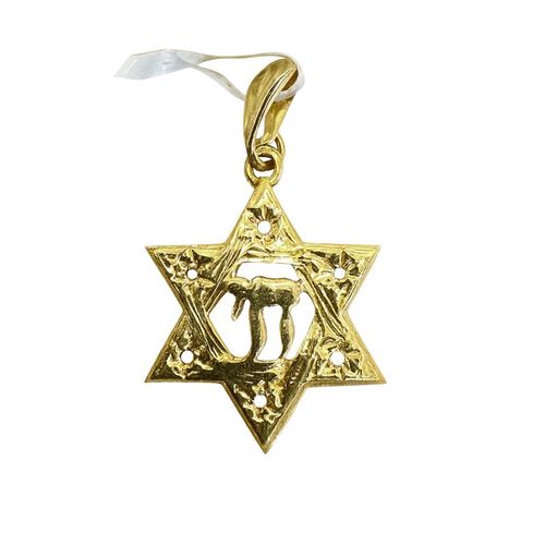 תליון מגן דוד עם סמל חי מזהב צהוב 14 קראט