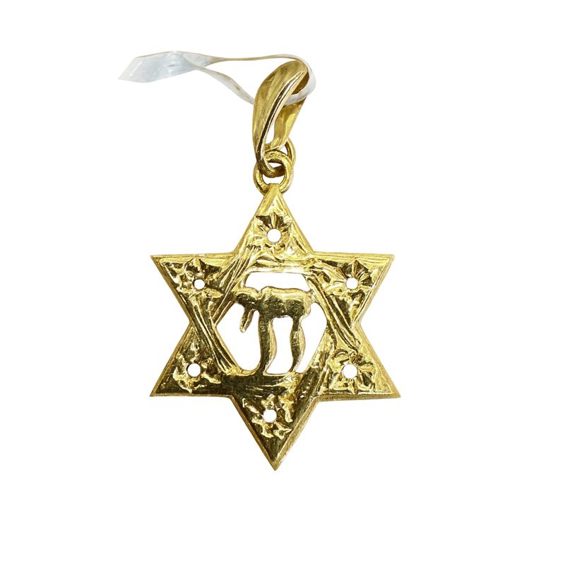 תליון מגן דוד עם סמל חי מזהב צהוב 14 קראט