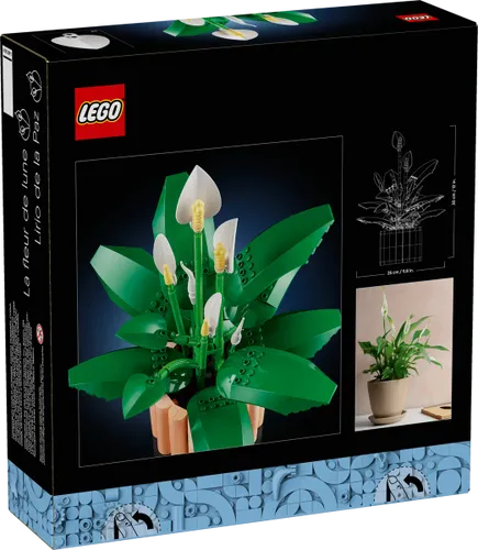  בוטניקה - שושן השלום LEGO 11504