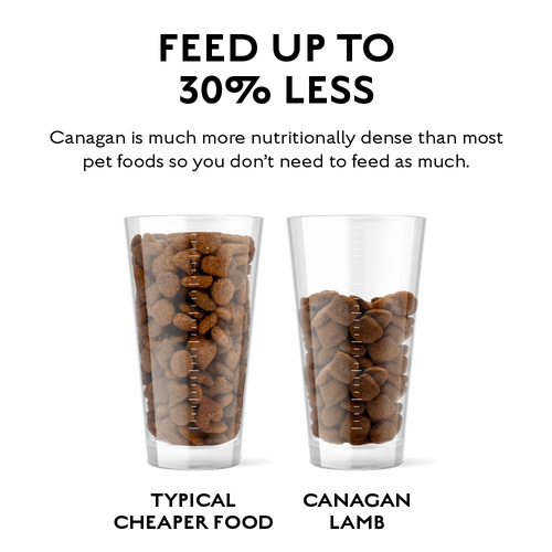 canagan אוכל לכלבים