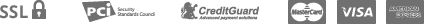 payment_icon