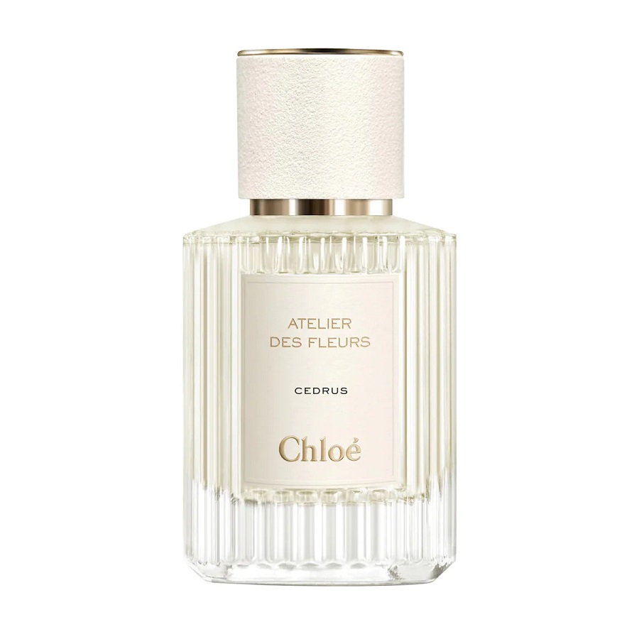 Chloe Atelier des Fleurs Cedrus