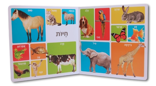 ספר מאה מילים ראשונות 