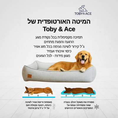 מיטה אורטופדית איכותית לכלבים מאושרת ע