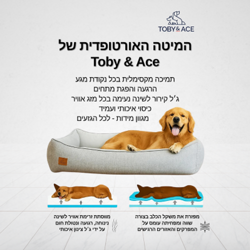 מיטה אורטופדית איכותית לכלבים מאושרת ע