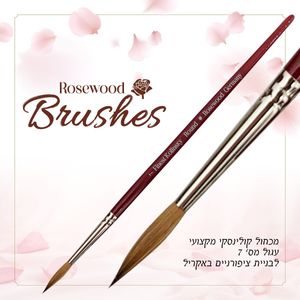 מכחול קולינסקי מקצועי עגול מס