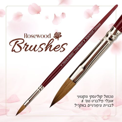 מכחול קולינסקי מקצועי אובלי פילברט מס' 8 ממותג ROSEWOOD