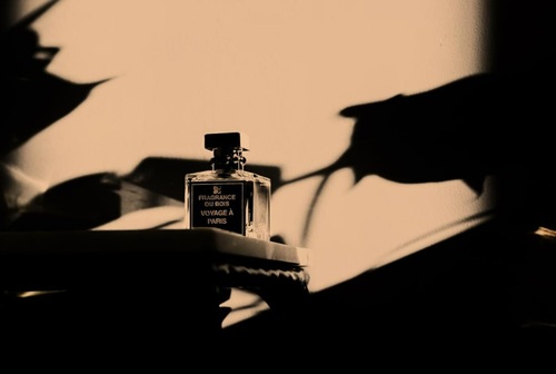 בושם יוניסקס  Fragrance Du Bois Voyage à Paris  Parfum 100 ml