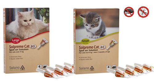 Solprome Cat 40 – אמפולות נגד פרעושים לחתולים קטנים וגורים (Solano)