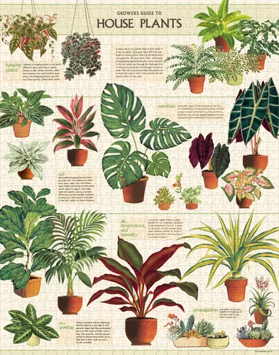 פאזל 1000 חלקים - House Plants