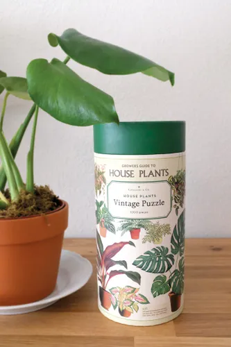 פאזל 1000 חלקים - House Plants