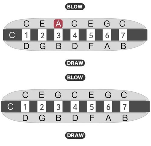 מפוחית בלוז KONGSHENG BabyFat 7 חורים - עיצוב קומפקטי עם קידוד צבעוני ומסגסוגת אלומיניום איכותית לנגינה ניידת ומקצועית