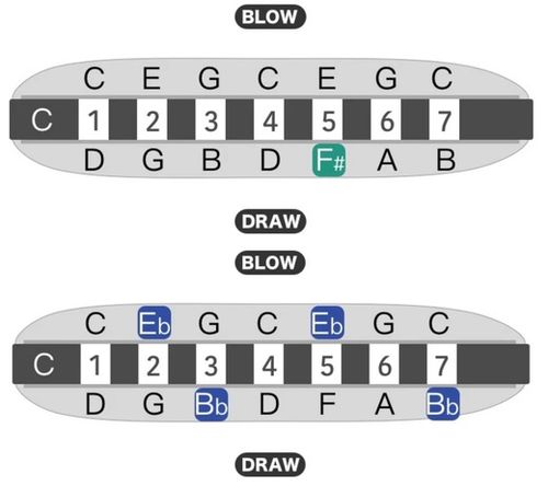 מפוחית בלוז KONGSHENG BabyFat 7 חורים - עיצוב קומפקטי עם קידוד צבעוני ומסגסוגת אלומיניום איכותית לנגינה ניידת ומקצועית