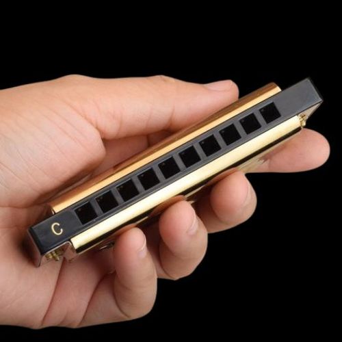 מפוחית דיאטונית KongSheng Bluesharp - מבט על מפוחית 10 חורים עם מעטפת כרום ועיצוב קלאסי למתחילים