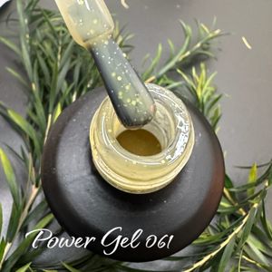 Power Gel 061