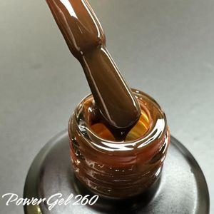 Power Gel 260