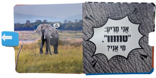 קולות של חיות הבר: ספר חלוניות להיכרות עם חיות הבר