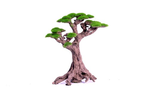 עץ בונסאי דגם  Small Moss Tree
