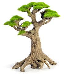 עץ בונסאי דגם 23 Forest Bonsai Tree