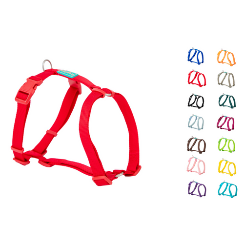 רתמה איכותית פרידוג 51X70 סמ 
