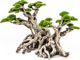 זוג עצי בונסאי דגם Medium Bonsai Tree Combination
