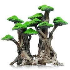 זוג עצי בונסאי דגם Tree of Life Combination