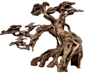 עץ בונסאי דגם 50 Bonsai Tree Left
