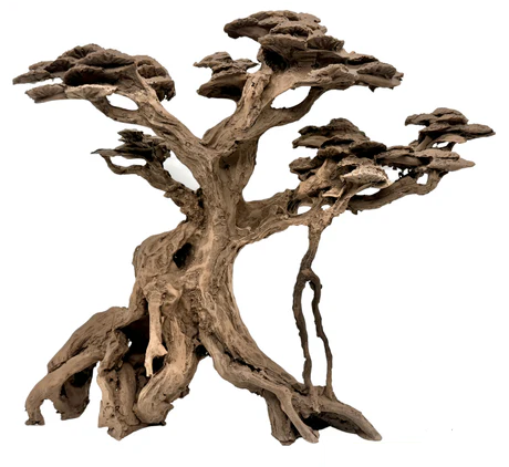 עץ בונסאי דגם 50 Bonsai Tree Right