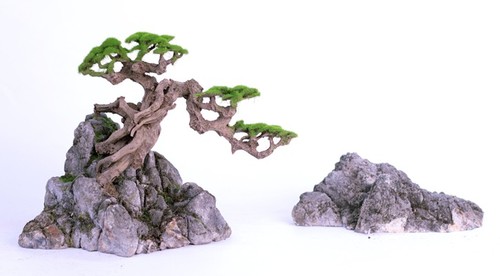 עץ בונסאי דגם 22 adistation tree Right