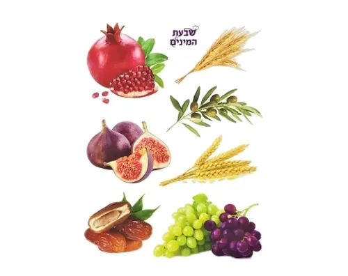 מדבקות שבעת המינים - דגם 1421