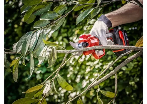 מזמרה נטענת SKIL XP 20V Brushless חותכת ענף בעץ פרי – גיזום מדויק ונקי ביד אחת