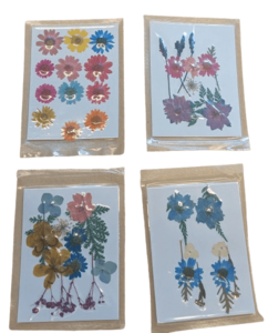 פרחים מיובשים שטוחים לעיצובים וליצירה