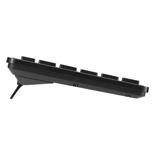 סט מקלדת ועכבר אלחוטי ASUS CW101 בצבע שחור עם עברית ואנגלית, חיבור RF 2.4GHz ותאימות ל-Windows