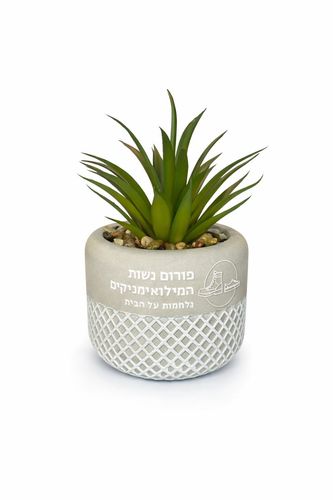 עציץ סוקולנט ממותג אישי