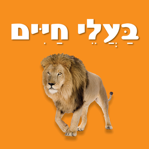 ספר פעוטות עם כריכה בציפוי רך ללימוד מילים ראשונות - בעלי חיים