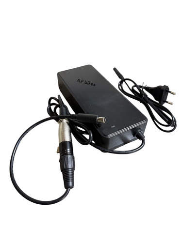 מטען 48 וולט 2 אמפר – ראש RCA , תואם קורקינט ריידר Rider 10x גווילס X9 