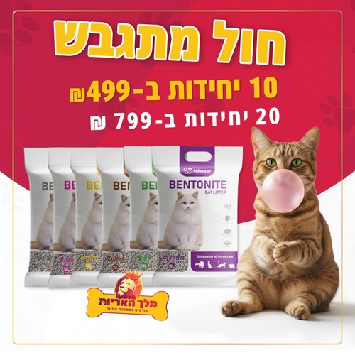 מבצע! 20 חול חתולים Haisenpet סוגים לבחירה  – 10X20 ליטר במחיר מיוחד