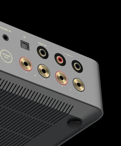  WIIM Vibelink AMP