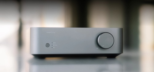  WIIM Vibelink AMP